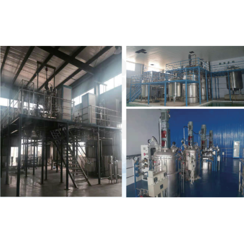 Três estágios de agitação mecânica de aço inoxidável Sistema de tanque de fermentação líquida